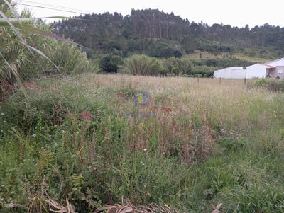 /international/pt/salir-de-matos-leiria-310108938829/?lang=zh-tw