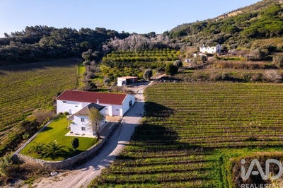 /international/pt/setubal-setubal-municipality-310106392379/