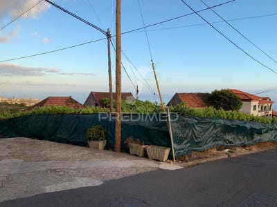 /international/pt/canhas-ponta-do-sol-madeira-310105738769/