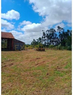 /international/pt/pombal-leiria-310100860810/