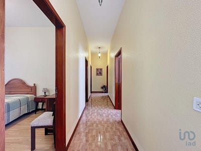 /international/pt/ilha-da-madeira-madeira-310094055880/