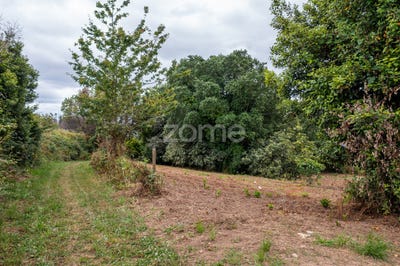 /international/pt/albergaria-a-velha-aveiro-310100430933/
