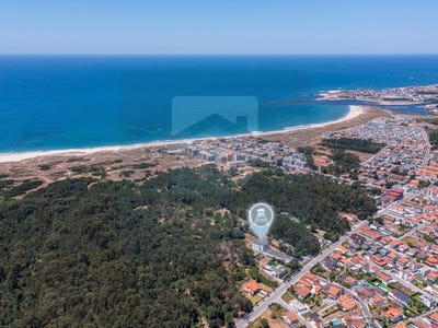 /international/pt/arvore-porto-310101131153/?lang=zh-tw