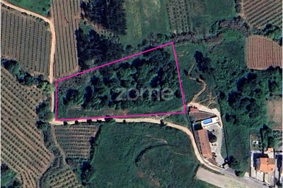 /international/pt/cadaval-lisbon-310096373967/