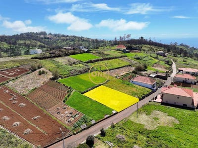 /international/pt/faja-da-ovelha-madeira-310108154565/