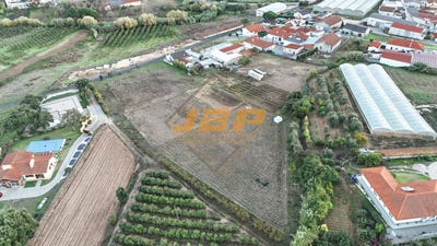 /international/pt/alcobaca-viana-do-castelo-310106594433/