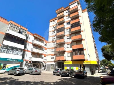 /international/pt/setubal-setubal-municipality-310101416208/?lang=id