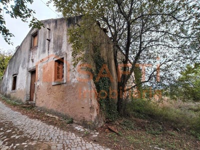 /international/pt/ansiao-leiria-310104423284/