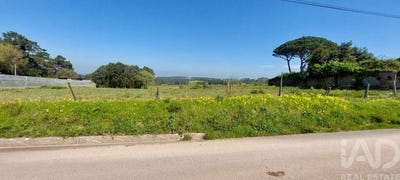 /international/pt/aljubarrota-prazeres-leiria-310108291509/