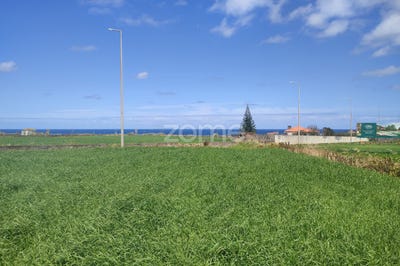 /international/pt/ribeira-grande-azores-310108181845/