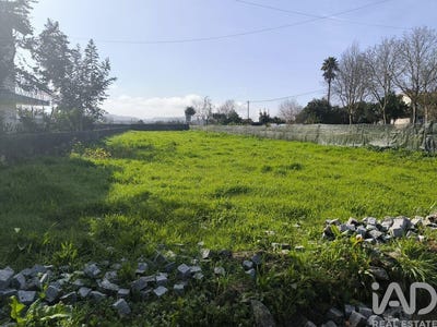 /international/pt/viana-do-castelo-viana-do-castelo-310106709867/
