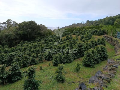 /international/pt/urzelina-sao-mateus-velas-azores-310104422399/