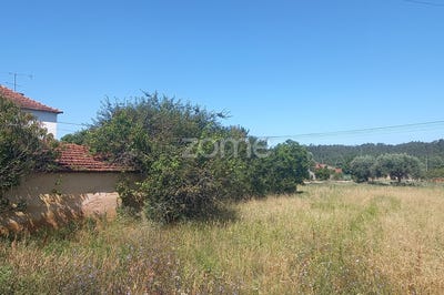/international/pt/coimbra-lisbon-310093886935/