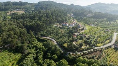 /international/pt/celorico-de-basto-braga-310106287319/