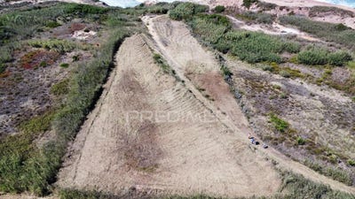 /international/pt/sao-pedro-da-cadeira-torres-vedras-lisbon-310105028778/