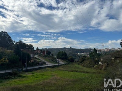 /international/pt/porto-braga-310104179974/