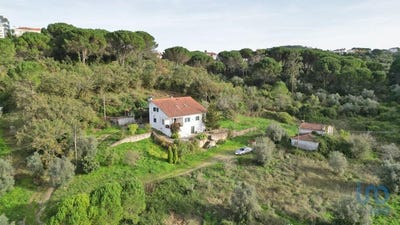 /international/pt/coimbra-se-nova-santa-cruz-almedina-e-sao-barto-coimbra-310101188357/?lang=es