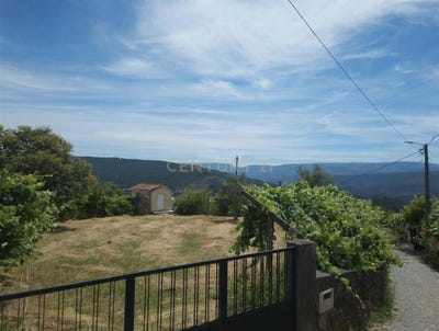 /international/pt/rua-da-cruz-arouca-portugal-urro-braganca-310108400141/