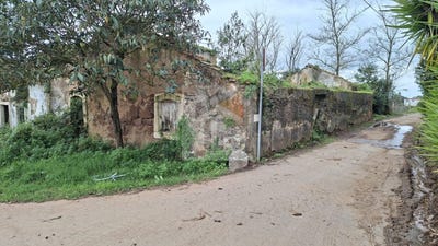 /international/pt/caldas-da-rainha-leiria-310106421662/