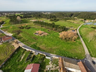 /international/pt/tocha-coimbra-310106105243/