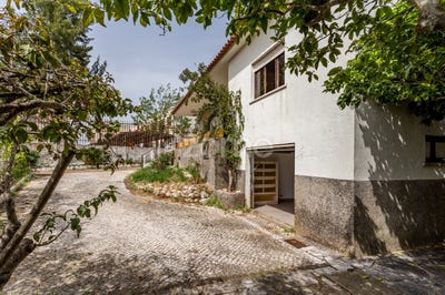 /international/pt/loures-lisbon-310107579514/