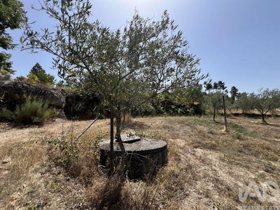 /international/pt/viseu-viseu-310101925346/