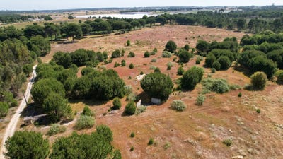 /international/pt/santo-isidro-de-pegoes-portugal-pegoes-setubal-municipality-310099944448/