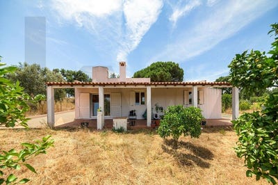 /international/pt/canha-setubal-municipality-310100572236/?lang=zh-tw