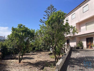 /international/pt/setubal-setubal-municipality-310101104796/?lang=en