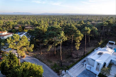 /international/pt/charneca-de-caparica-setubal-municipality-310108651971/