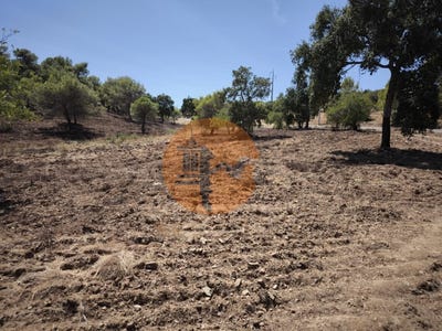/international/pt/castro-marim-faro-310105011519/
