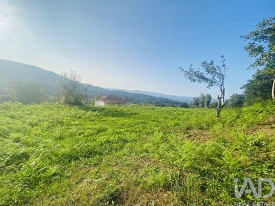 /international/pt/viana-do-castelo-viana-do-castelo-310101689366/