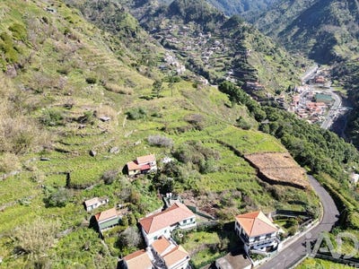 /international/pt/ilha-da-madeira-madeira-310096001326/