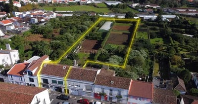 /international/pt/rua-direita-da-faja-faja-de-baixo-portugal-ilha-de-sao-miguel-azores-310107521906/