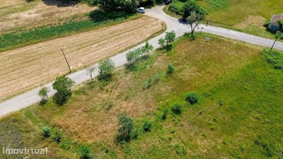 /international/pt/valongo-do-vouga-aveiro-310108044272/?lang=es