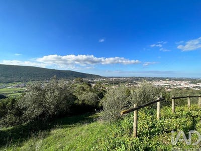 /international/pt/leiria-leiria-310107292752/
