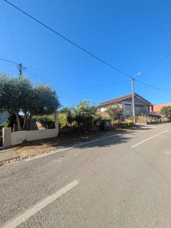/international/pt/rua-principal-da-serena-oliveira-do-bairro-portugal-oliveira-do-bairro-aveiro-310101279356/