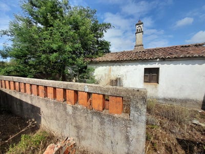 /international/pt/escobeirinha-santana-da-serra-beja-310094615225/
