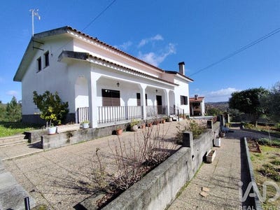 /international/pt/midoes-coimbra-310106019171/