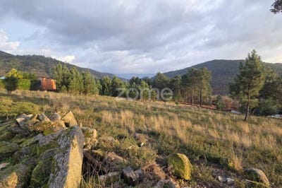 /international/pt/mondim-de-basto-vila-real-310107062043/