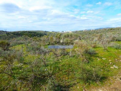 /international/pt/alfandega-da-fe-braganca-310102863242/