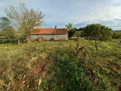 /international/pt/ninho-do-acor-e-sobral-do-campo-castelo-branco-district-310094663496/