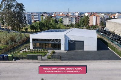 /international/pt/cantanhede-coimbra-120093091100/