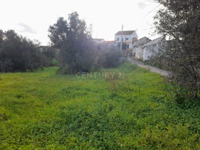 /international/pt/belver-setubal-municipality-120091626281/