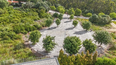 /international/pt/estrada-varzea-sintra-portugal-sintra-santa-maria-e-sao-miguel-lisbon-310108923642/