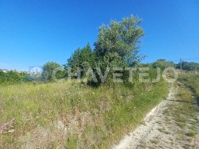 /international/pt/carregueiros-santarem-310097462941/