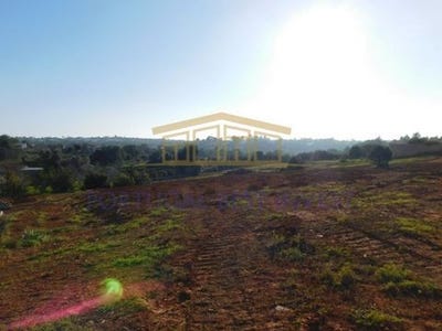 /international/pt/estombar-lagoa-faro-120086469328/