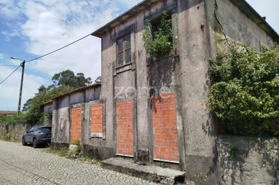 /international/pt/maia-porto-310108969454/?lang=it