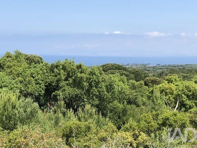 /international/pt/sesimbra-santiago-setubal-municipality-310105349157/