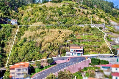 /international/pt/quinta-grande-madeira-120090862541/